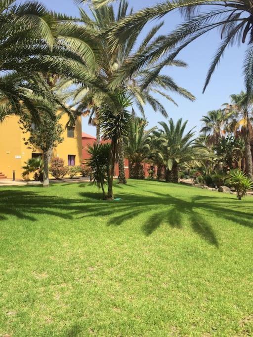 Corralejo Happy Place, precioso apartamento con piscina Exterior foto